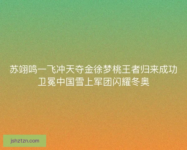 苏翊鸣一飞冲天夺金徐梦桃王者归来成功卫冕中国雪上军团闪耀冬奥