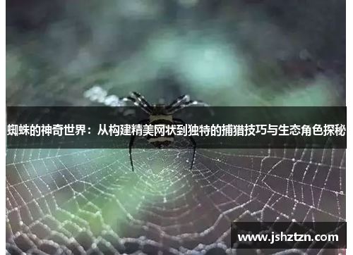 蜘蛛的神奇世界：从构建精美网状到独特的捕猎技巧与生态角色探秘